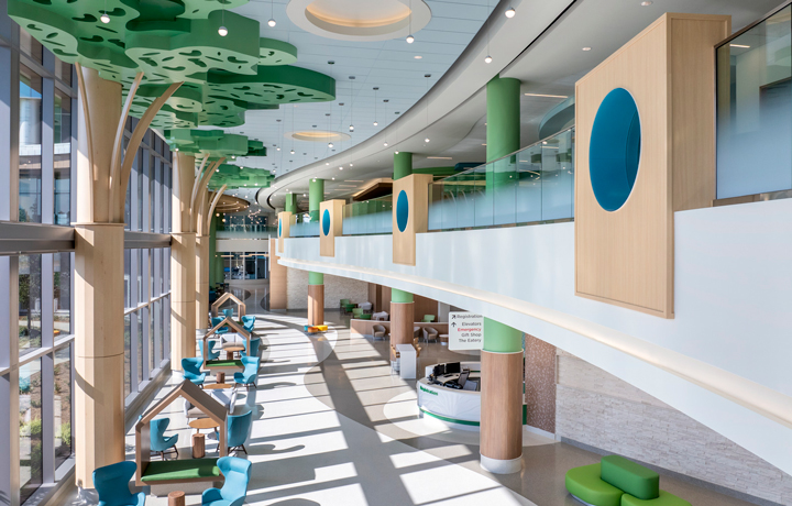 Children’s Healthcare of Atlanta Arthur M. Blank Hospital
