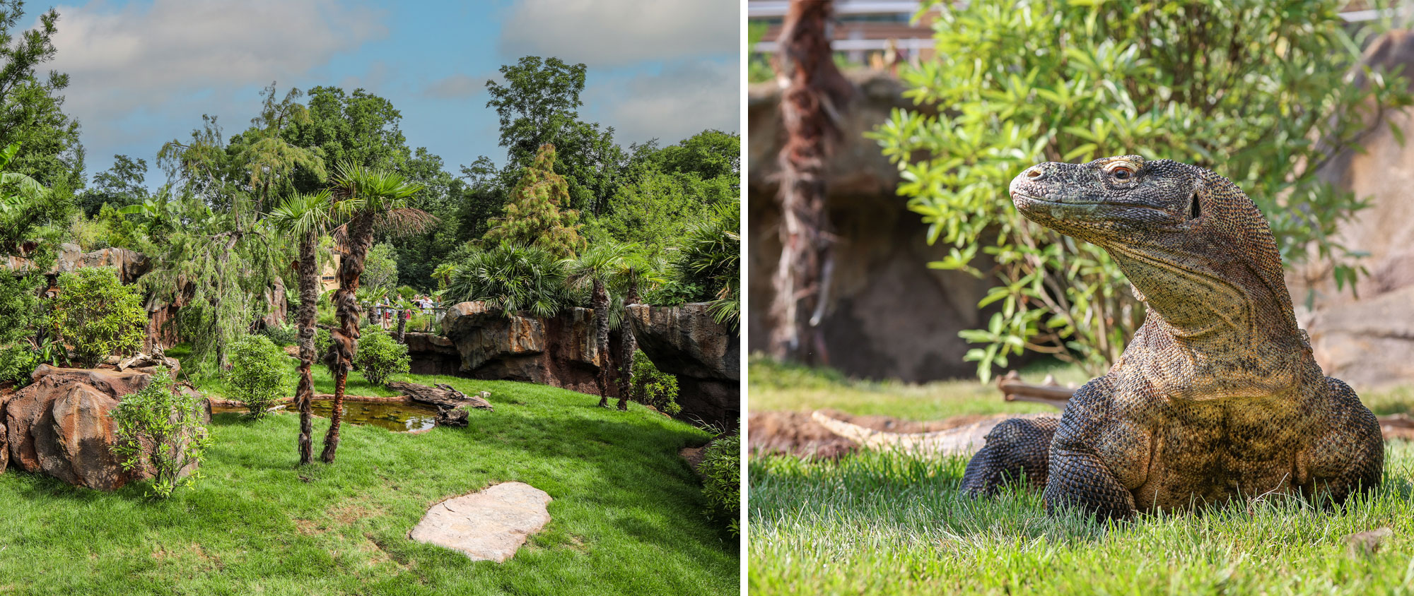 Nashville Zoo – Komodo Dragon Exhibit